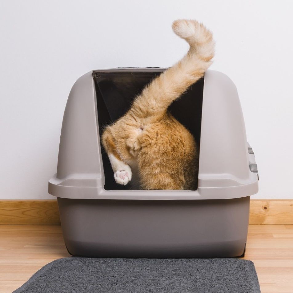 Flamingo Pet Products