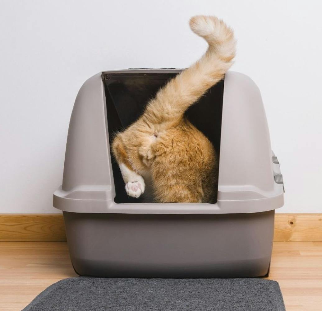 Flamingo Pet Products